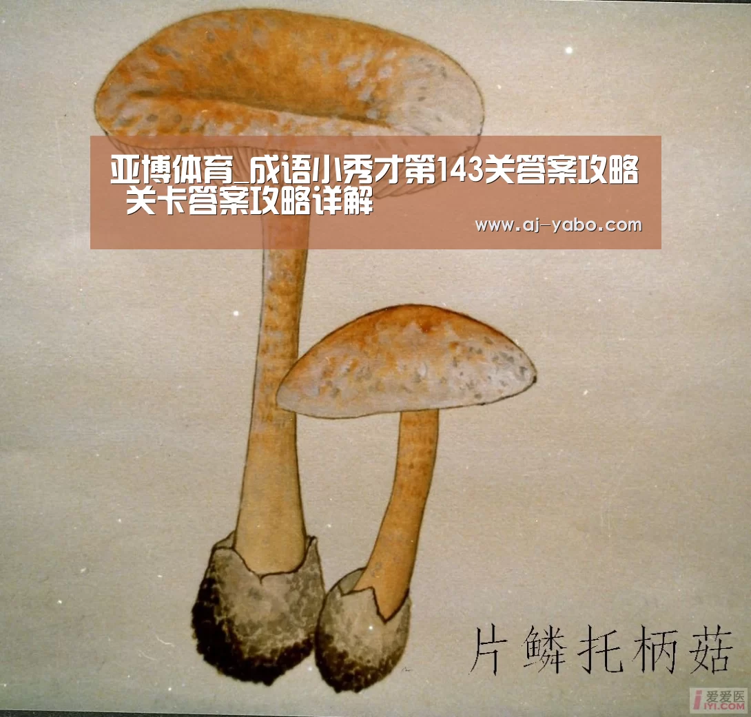 亚博体育_成语小秀才第143关答案攻略 关卡答案攻略详解(图1) 亚博官网