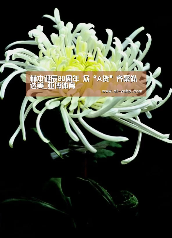 亚博体育