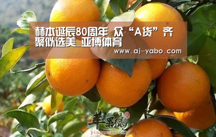 亚博体育