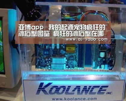 亚博官网